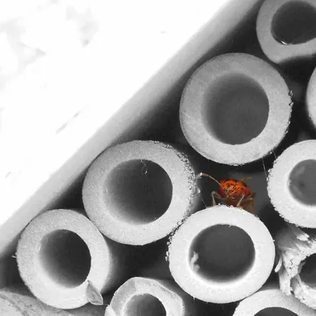 Appartamento Le Nid… Ecrin Entre Et Foret Mentone