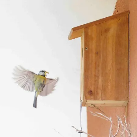 Appartamento Le Nid… Ecrin Entre Et Foret