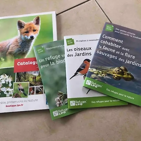 Le Nid… Ecrin Entre Et Foret *